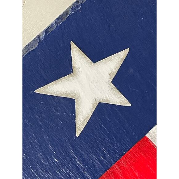 Texas Home Decor Unique Artwork - Picture 4 of 16